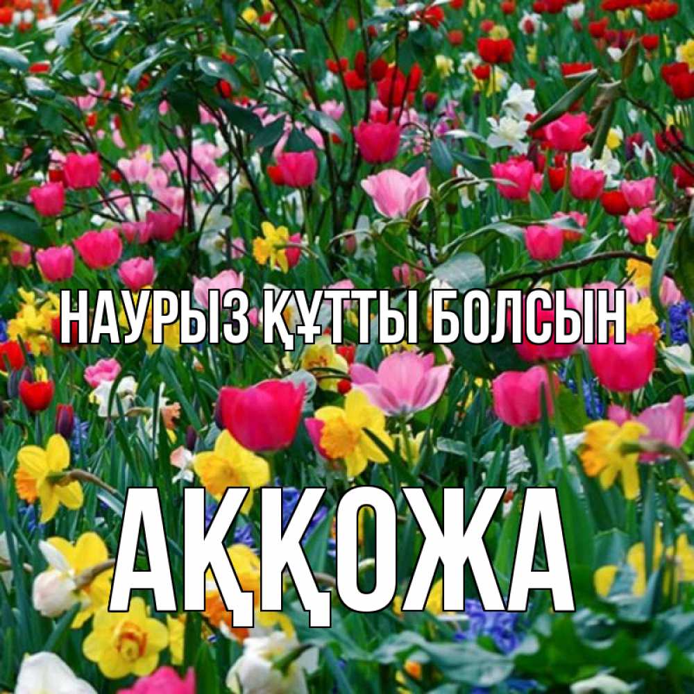 Күн сайын ашық хат с именем, Аққожа Наурыз құтты болсын с наурызом поздравления для женщины Онлайн тегін жүктеп алу тілектері бар керемет карта 