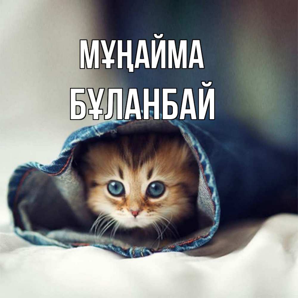 Күн сайын ашық хат с именем, Бұланбай Мұңайма рыжик котик Онлайн тегін жүктеп алу тілектері бар керемет карта 