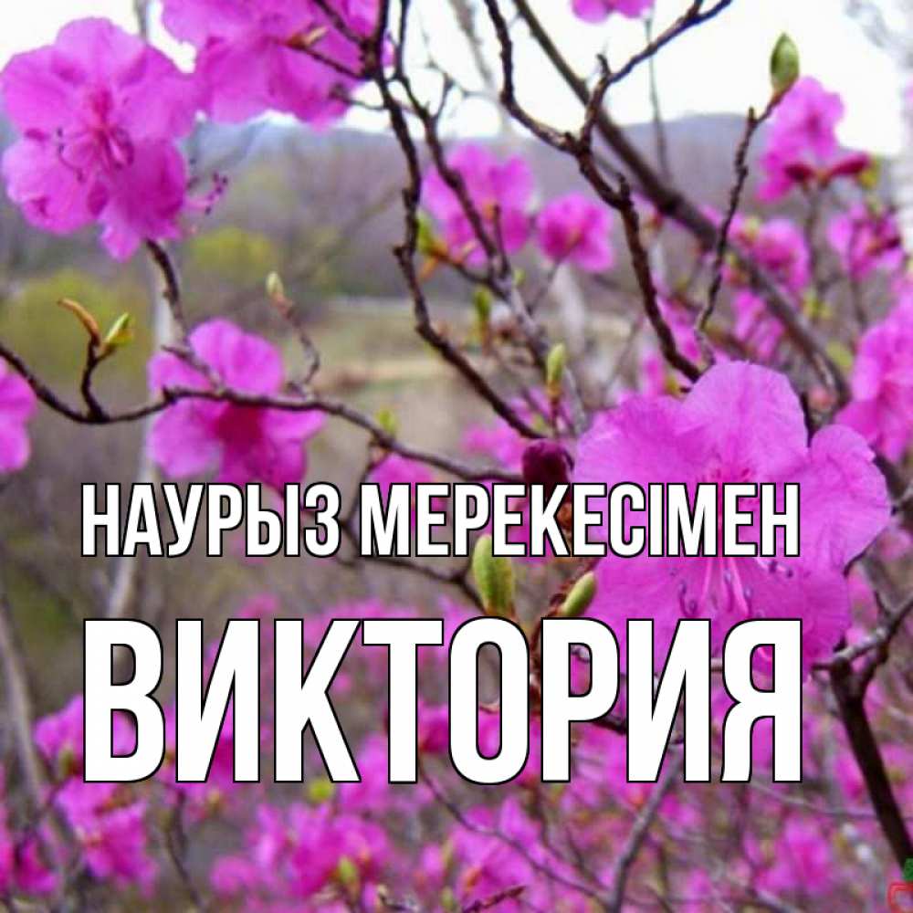 Күн сайын ашық хат с именем, Виктория Наурыз мерекесімен праздник весны наурыз Онлайн тегін жүктеп алу тілектері бар керемет карта 