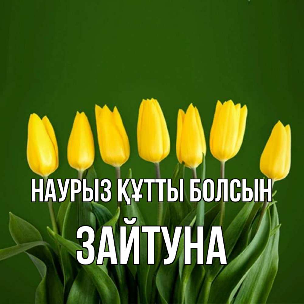 Күн сайын ашық хат с именем, ЗАЙТУНА Наурыз құтты болсын желтого цвета 3 Онлайн тегін жүктеп алу тілектері бар керемет карта 