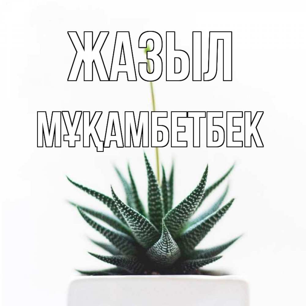 Күн сайын ашық хат с именем, Мұқамбетбек Жазыл короче это непонятная колючка Онлайн тегін жүктеп алу тілектері бар керемет карта 