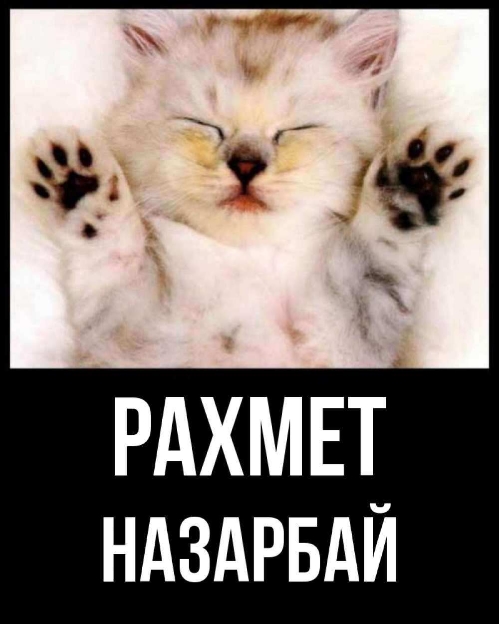 Күн сайын ашық хат с именем, НАЗАРБАЙ рахмет маленький котенок Онлайн тегін жүктеп алу тілектері бар керемет карта 