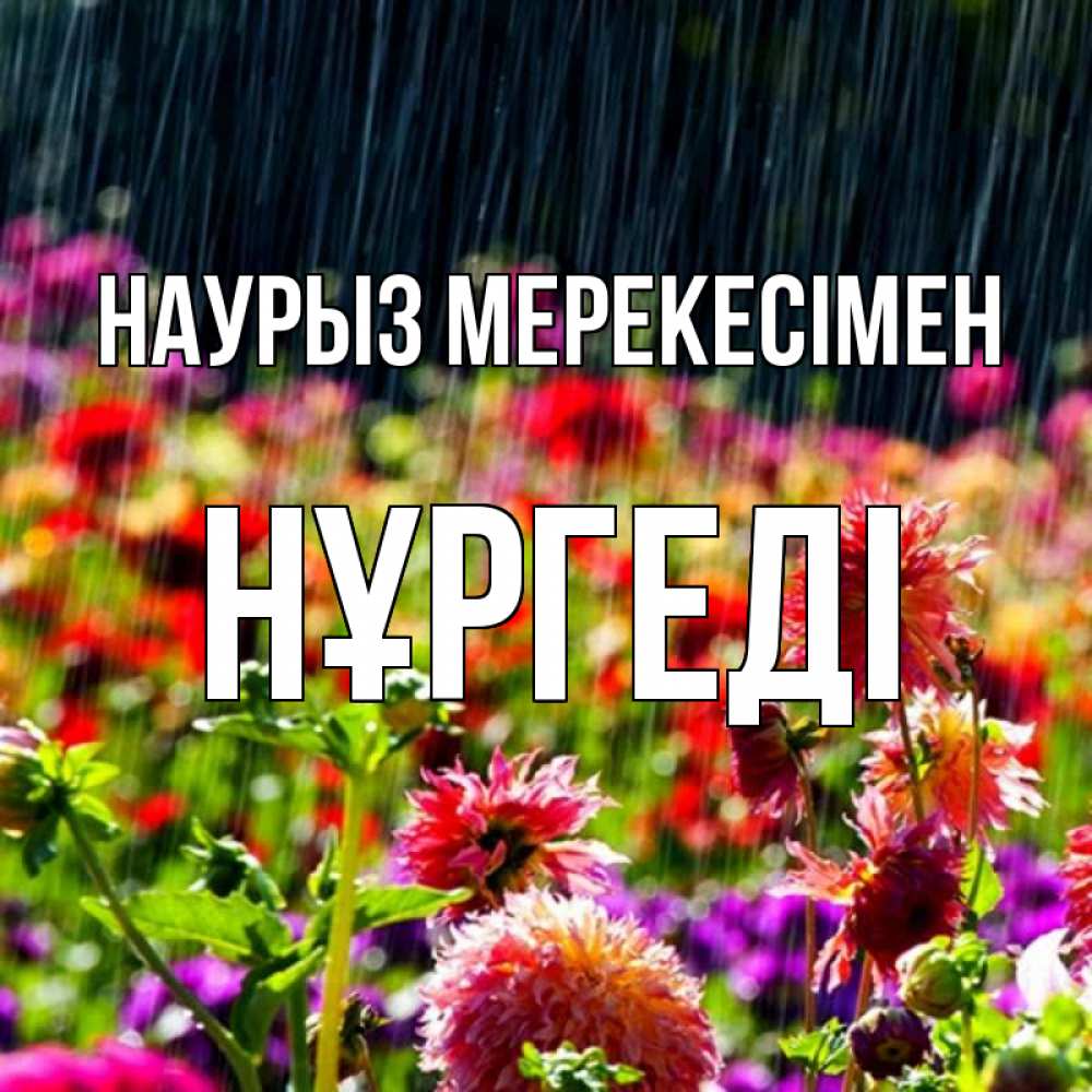 Күн сайын ашық хат с именем, НҰРГЕДІ Наурыз мерекесімен цветы под дождиком к международному женскому дню Онлайн тегін жүктеп алу тілектері бар керемет карта 