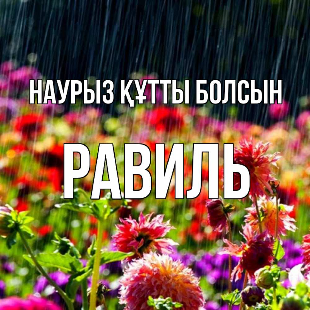 Күн сайын ашық хат с именем, Равиль Наурыз құтты болсын цветы под дождиком к наурызу Онлайн тегін жүктеп алу тілектері бар керемет карта 