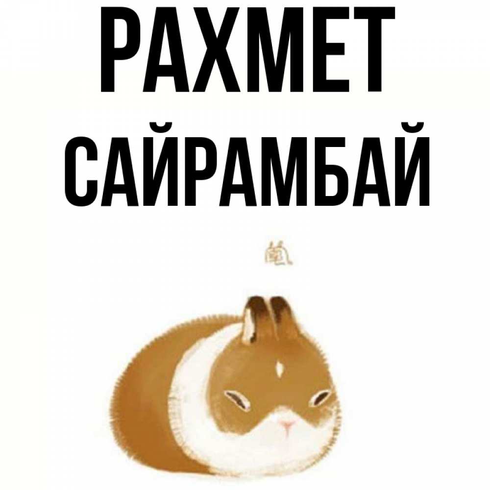 Күн сайын ашық хат с именем, САЙРАМБАЙ рахмет коричнево белый домашний питомец Онлайн тегін жүктеп алу тілектері бар керемет карта 