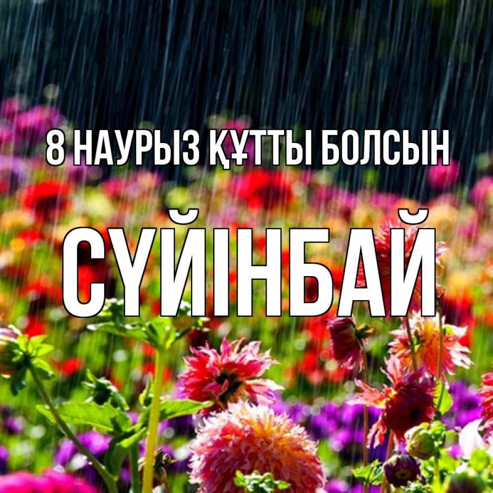 Күн сайын ашық хат с именем, СҮЙІНБАЙ 8 наурыз құтты болсын цветы под дождиком к международному женскому дню Онлайн тегін жүктеп алу тілектері бар керемет карта 