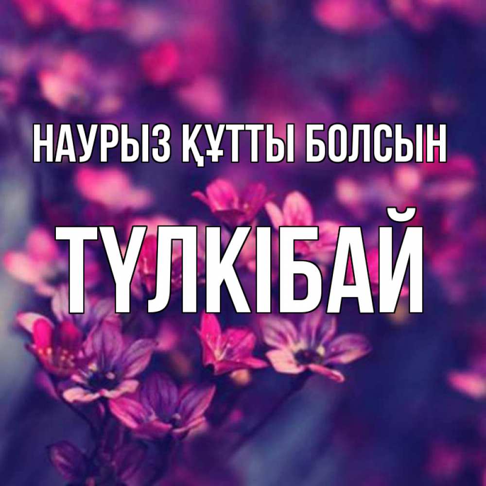 Күн сайын ашық хат с именем, ТҮЛКІБАЙ Наурыз құтты болсын небольшие цветы 1 Онлайн тегін жүктеп алу тілектері бар керемет карта 