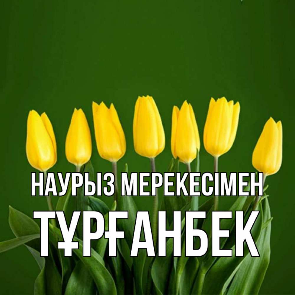 Күн сайын ашық хат с именем, ТҰРҒАНБЕК Наурыз мерекесімен желтого цвета 3 Онлайн тегін жүктеп алу тілектері бар керемет карта 