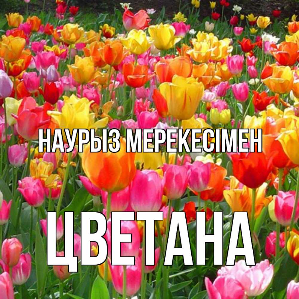 Күн сайын ашық хат с именем, Цветана Наурыз мерекесімен праздник весны наурыз 4 Онлайн тегін жүктеп алу тілектері бар керемет карта 