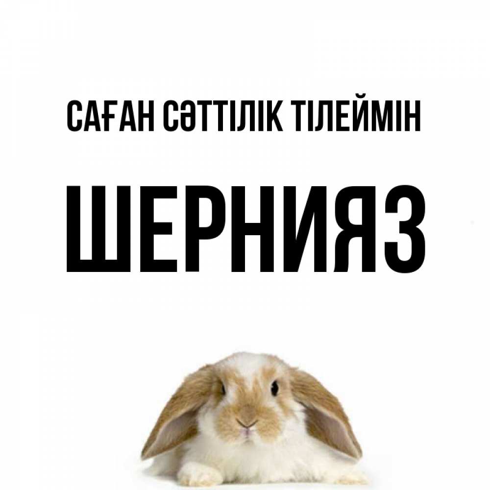 Күн сайын ашық хат с именем, ШЕРНИЯЗ Саған сәттілік тілеймін открытки с произвольным текстом который можно вставить в открытку и создать ее самостоятельно бесплатно онлайн Онлайн тегін жүктеп алу тілектері бар керемет карта 