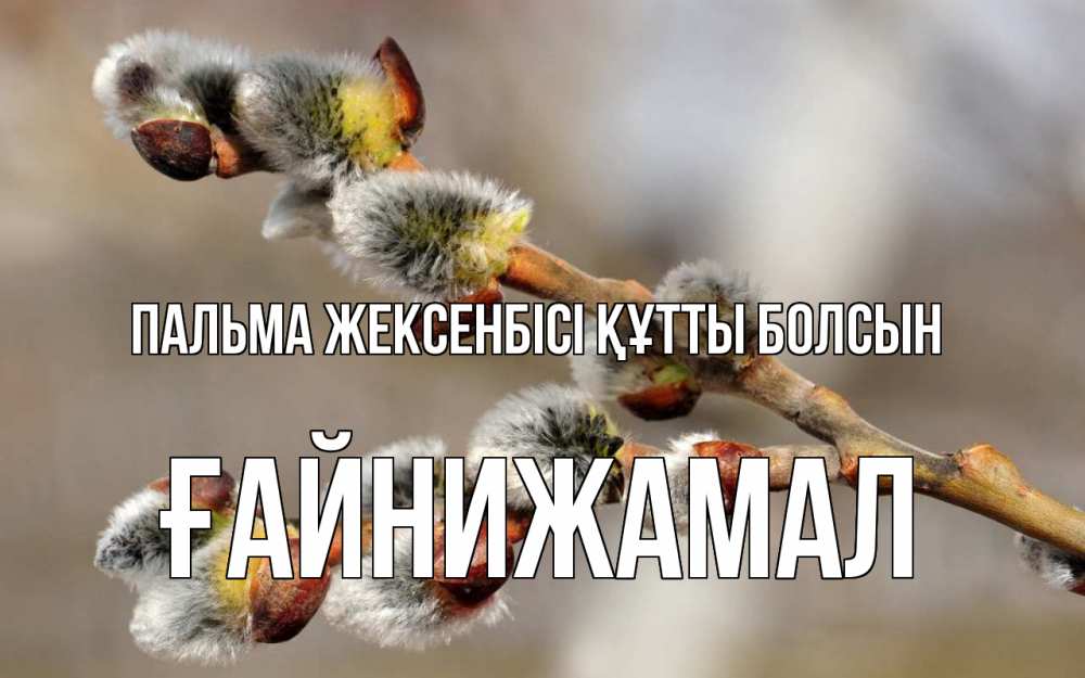 Күн сайын ашық хат с именем, ҒАЙНИЖАМАЛ Пальма жексенбісі құтты болсын Верба Онлайн тегін жүктеп алу тілектері бар керемет карта 