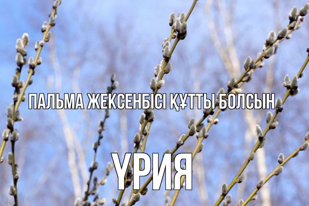 Күн сайын ашық хат с именем, ҮРИЯ Пальма жексенбісі құтты болсын верба Онлайн тегін жүктеп алу тілектері бар керемет карта 