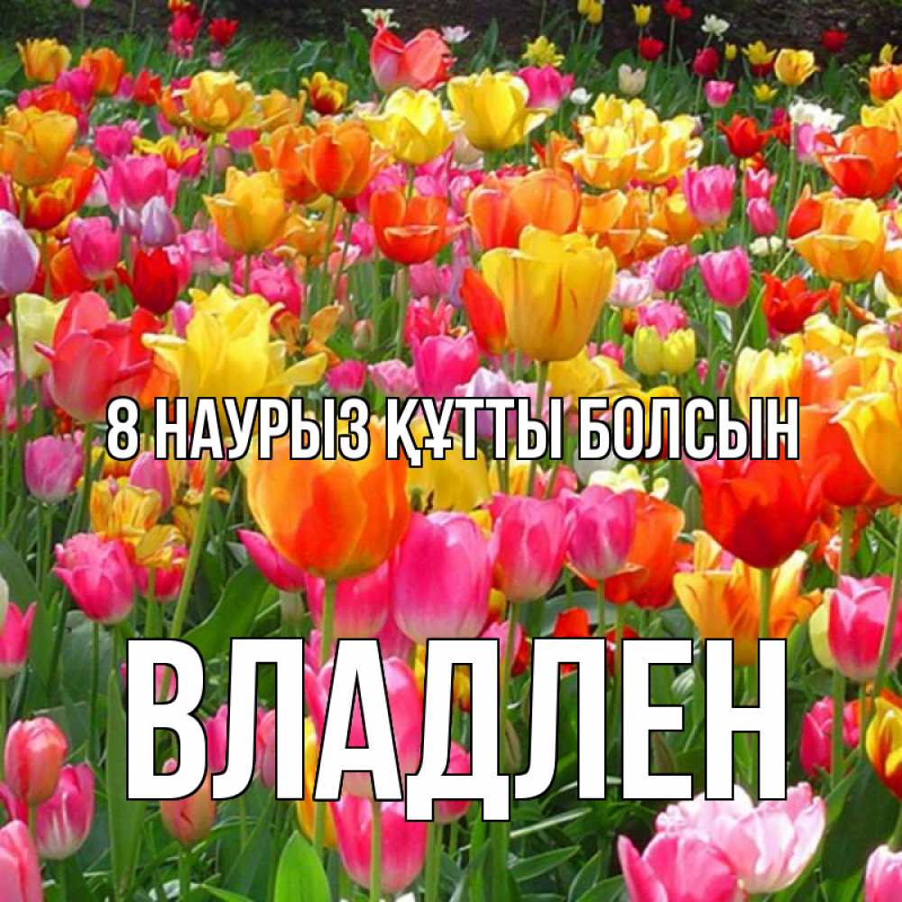 Күн сайын ашық хат с именем, Владлен 8 наурыз құтты болсын на международный женский день Онлайн тегін жүктеп алу тілектері бар керемет карта 