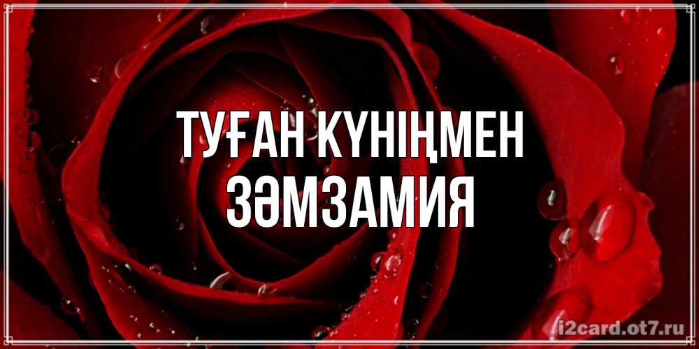 Күн сайын ашық хат с именем, ЗӘМЗАМИЯ Туған күніңмен крупная бордовая роза Онлайн тегін жүктеп алу тілектері бар керемет карта 