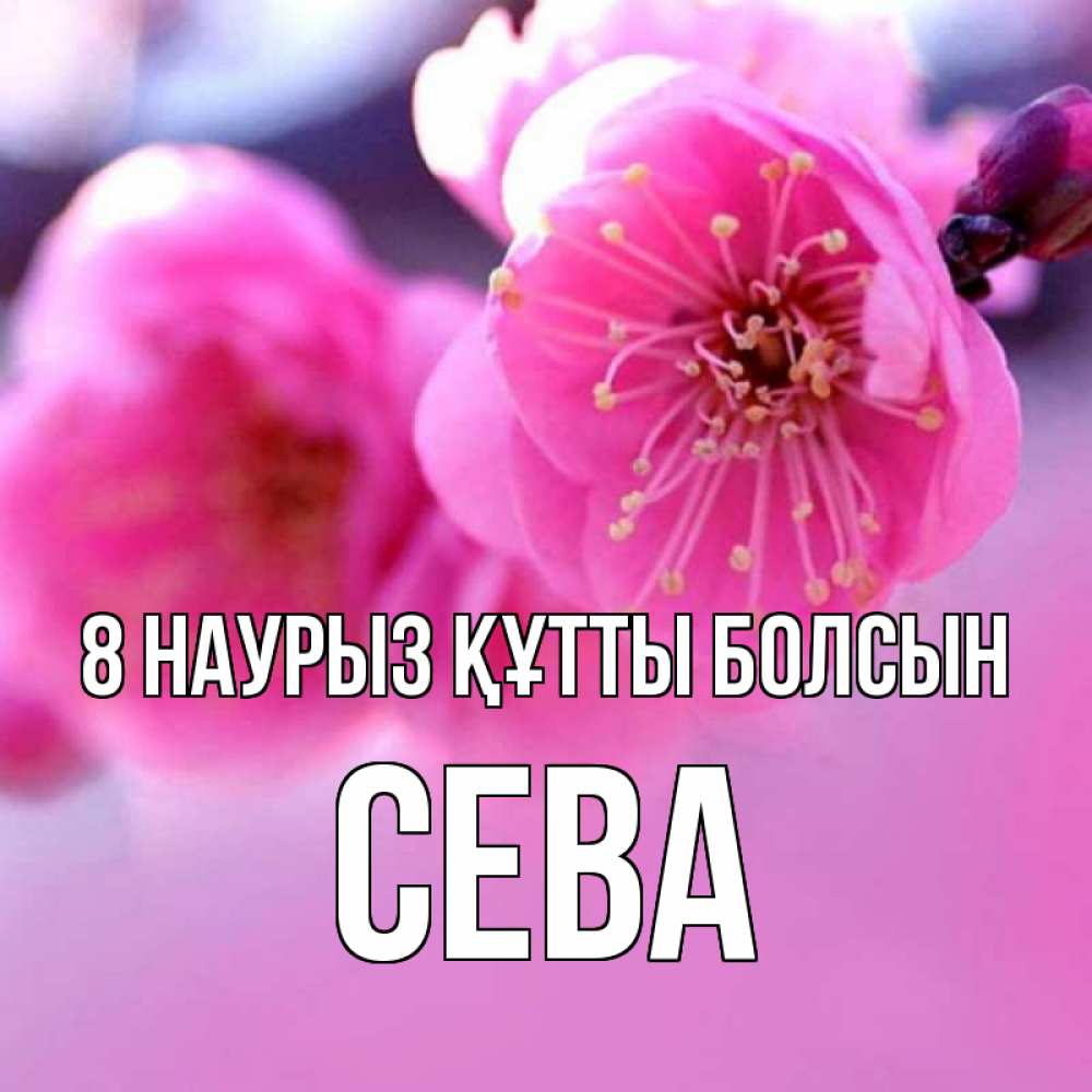 Күн сайын ашық хат с именем, Сева 8 наурыз құтты болсын международный женский день Онлайн тегін жүктеп алу тілектері бар керемет карта 