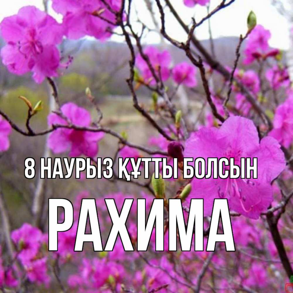 Күн сайын ашық хат с именем, РАХИМА 8 наурыз құтты болсын международный женский день Онлайн тегін жүктеп алу тілектері бар керемет карта 
