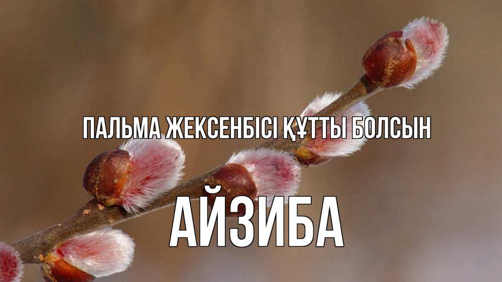 Күн сайын ашық хат с именем, АЙЗИБА Пальма жексенбісі құтты болсын верба Онлайн тегін жүктеп алу тілектері бар керемет карта 