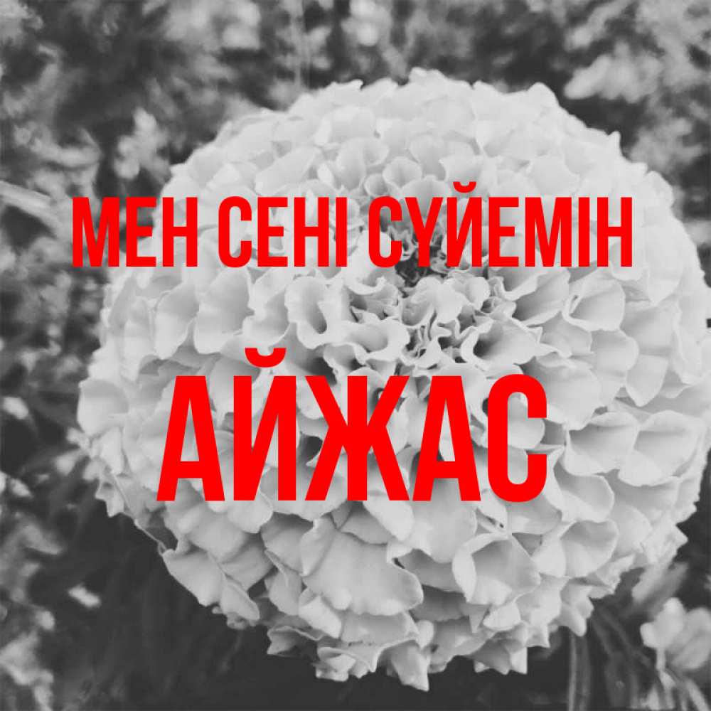 Күн сайын ашық хат с именем, Айжас Мен сені сүйемін подпись Онлайн тегін жүктеп алу тілектері бар керемет карта 