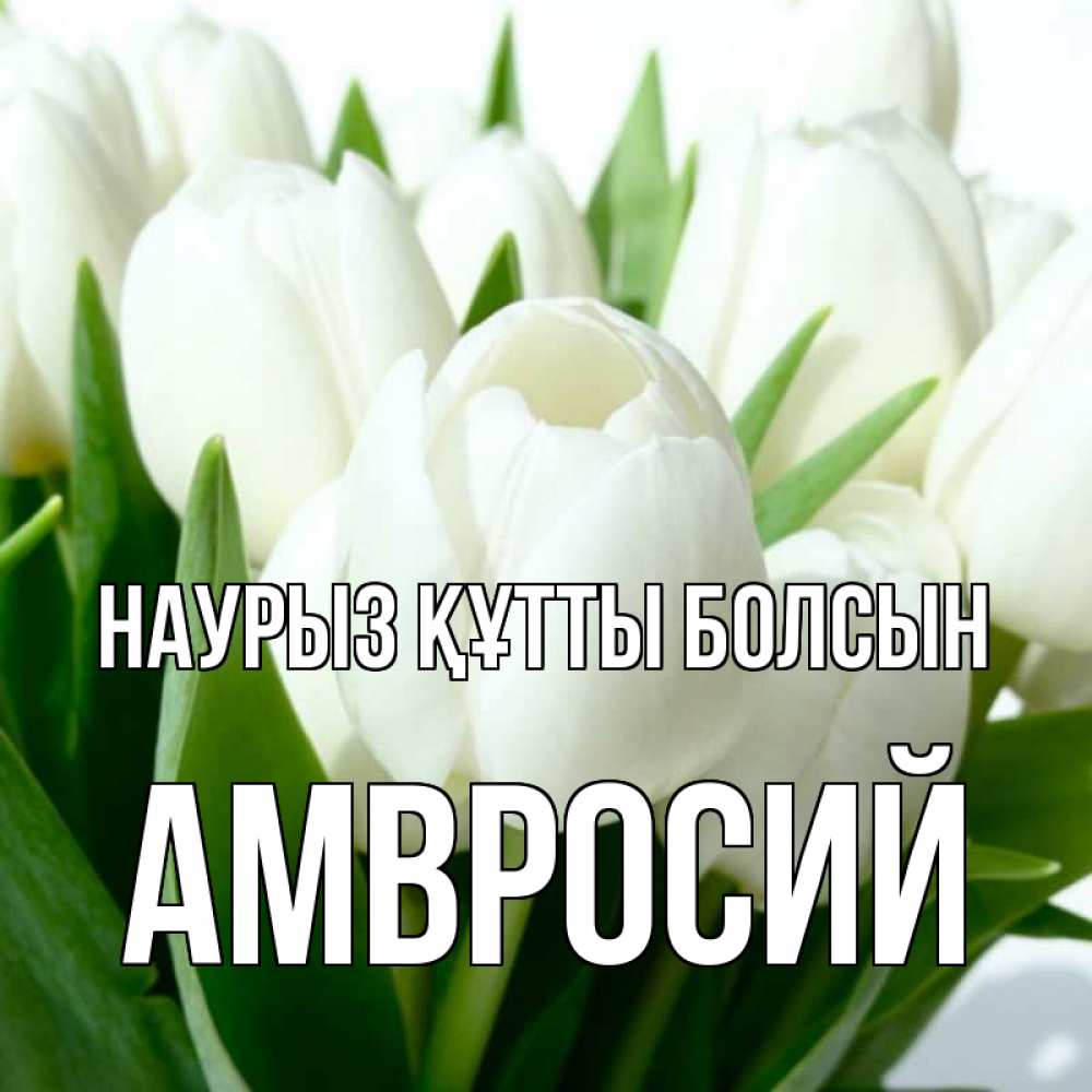 Күн сайын ашық хат с именем, Амвросий Наурыз құтты болсын цветы Онлайн тегін жүктеп алу тілектері бар керемет карта 