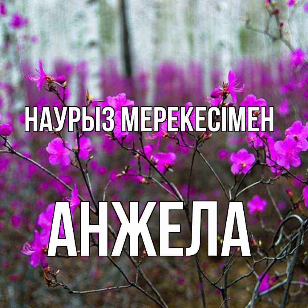 Күн сайын ашық хат с именем, Анжела Наурыз мерекесімен дикие цветы Онлайн тегін жүктеп алу тілектері бар керемет карта 