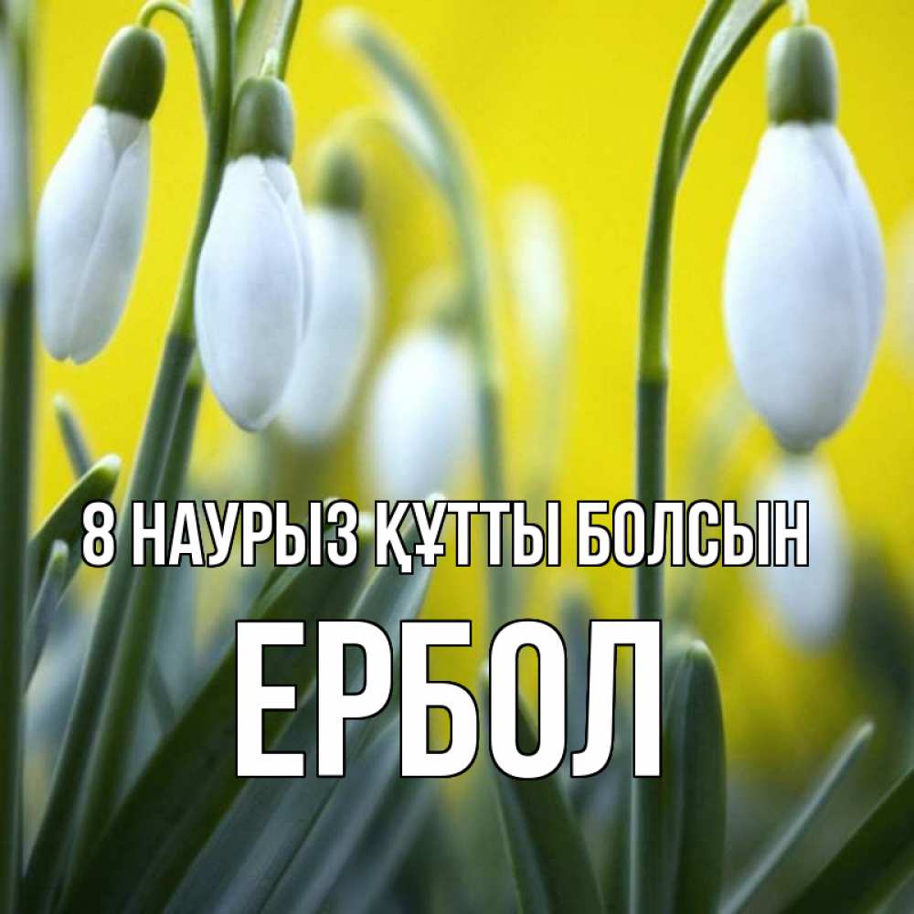 Күн сайын ашық хат с именем, Ербол 8 наурыз құтты болсын весенние цветы Онлайн тегін жүктеп алу тілектері бар керемет карта 