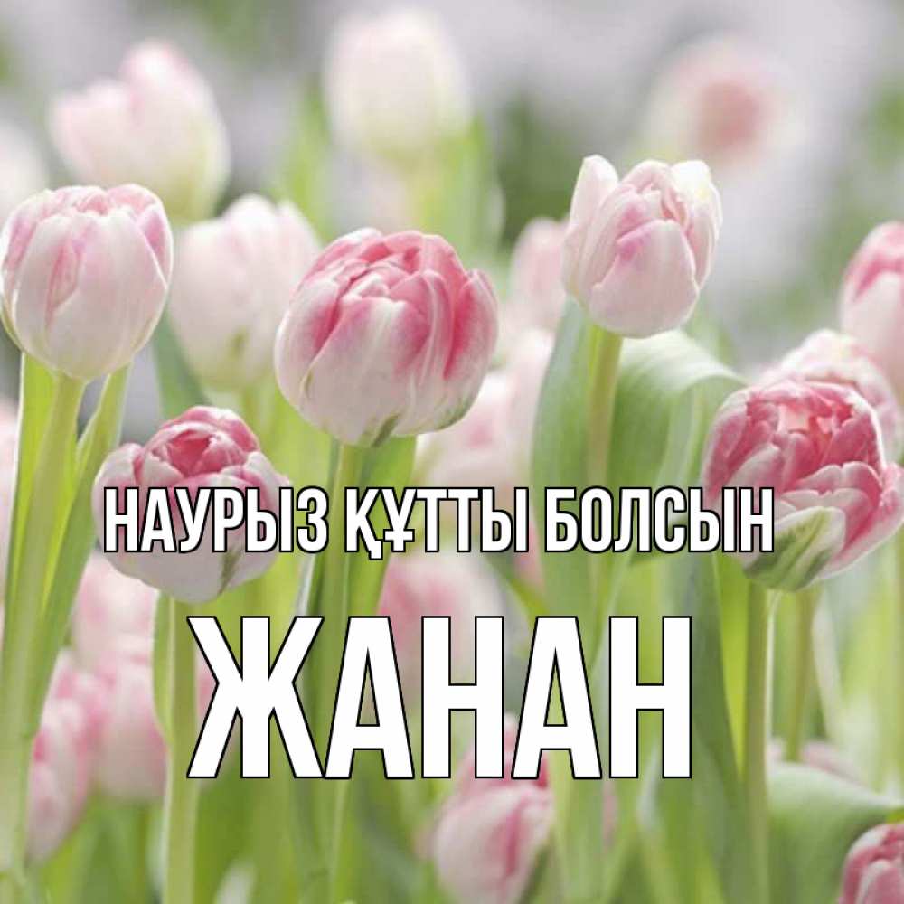 Күн сайын ашық хат с именем, ЖАНАН Наурыз құтты болсын цветы Онлайн тегін жүктеп алу тілектері бар керемет карта 
