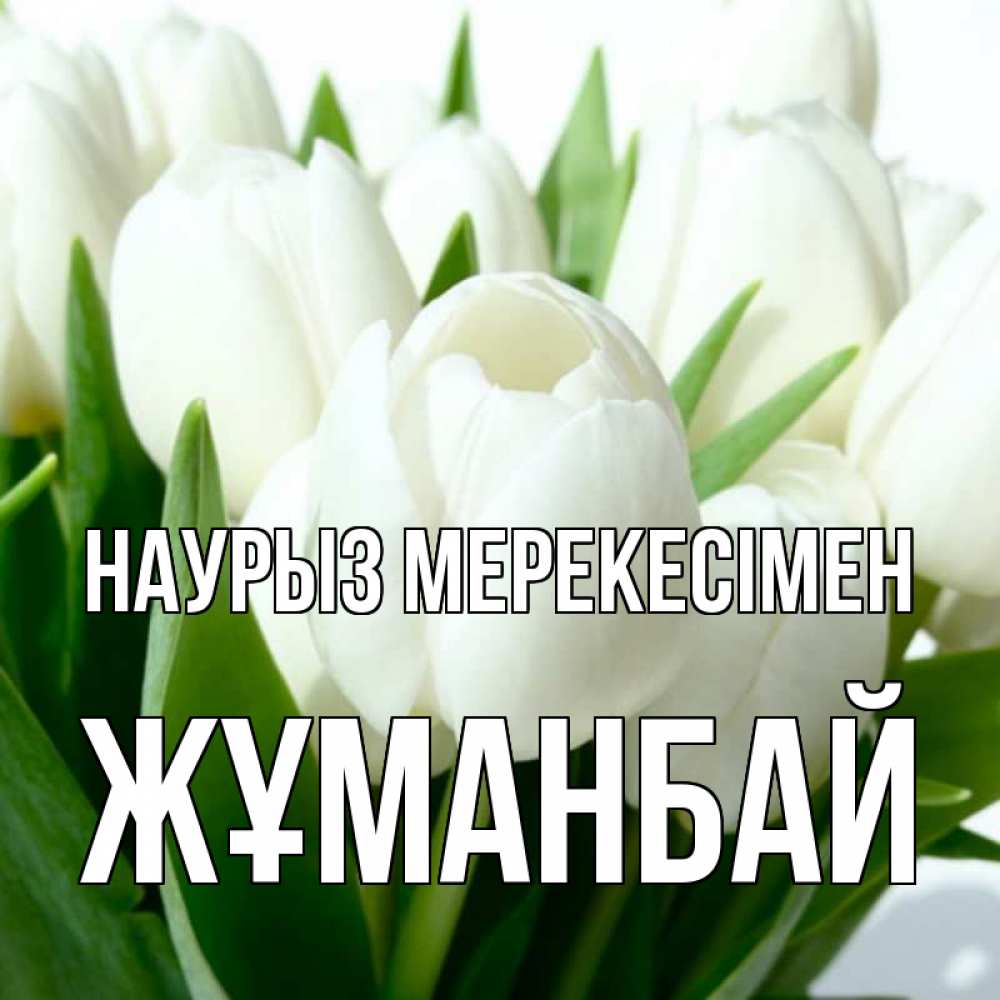 Күн сайын ашық хат с именем, Жұманбай Наурыз мерекесімен цветы Онлайн тегін жүктеп алу тілектері бар керемет карта 