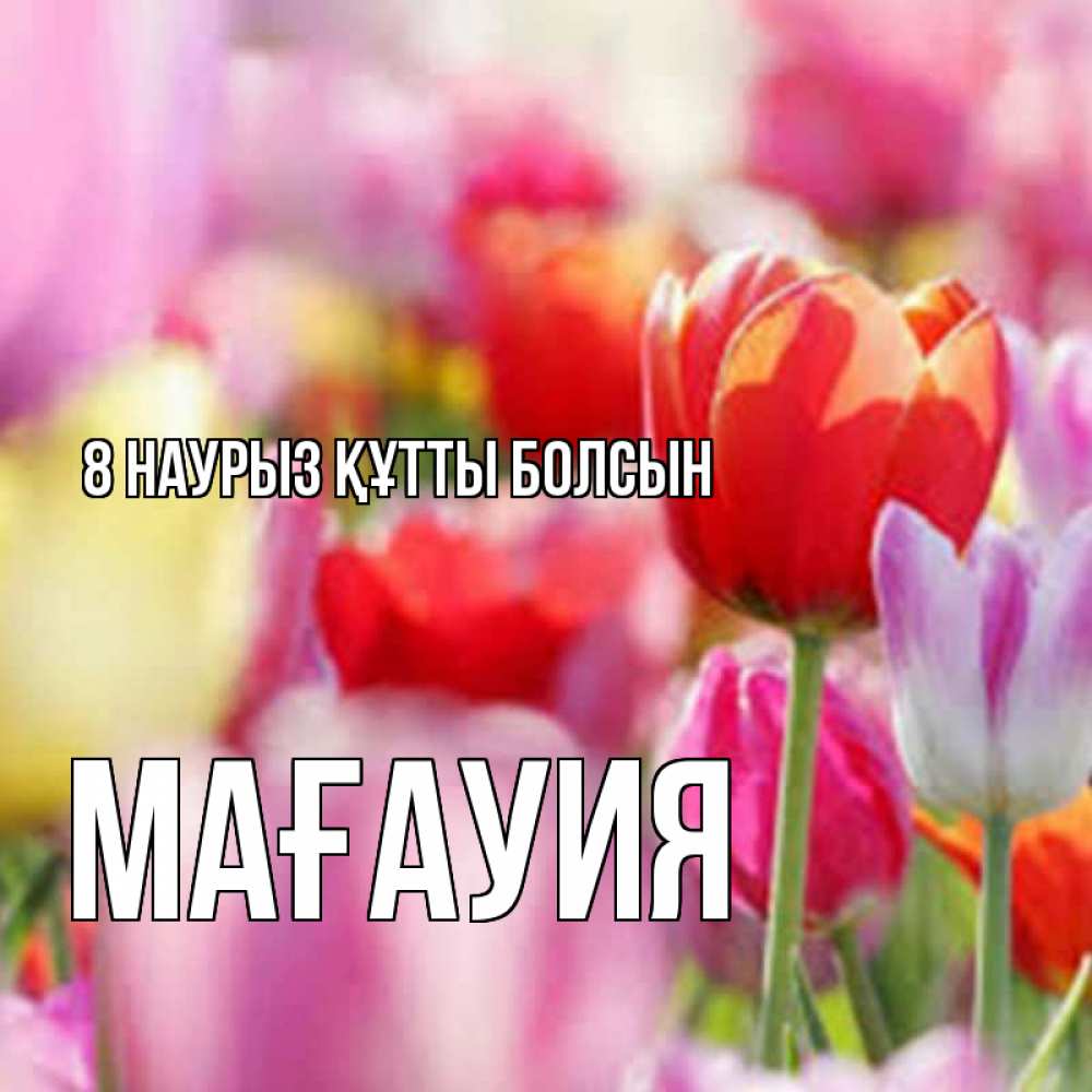 Күн сайын ашық хат с именем, МАҒАУИЯ 8 наурыз құтты болсын на международный женский день 2 Онлайн тегін жүктеп алу тілектері бар керемет карта 