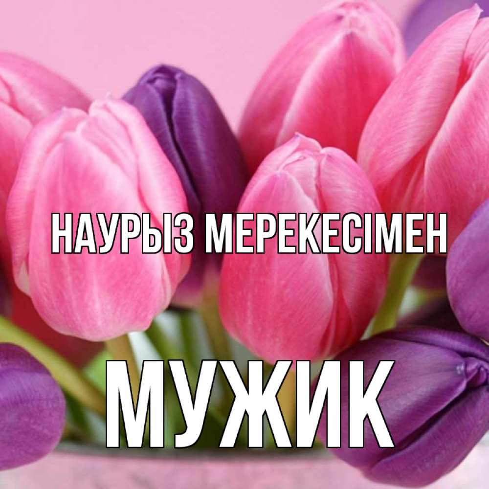 Күн сайын ашық хат с именем, Мужик Наурыз мерекесімен маме 1 Онлайн тегін жүктеп алу тілектері бар керемет карта 