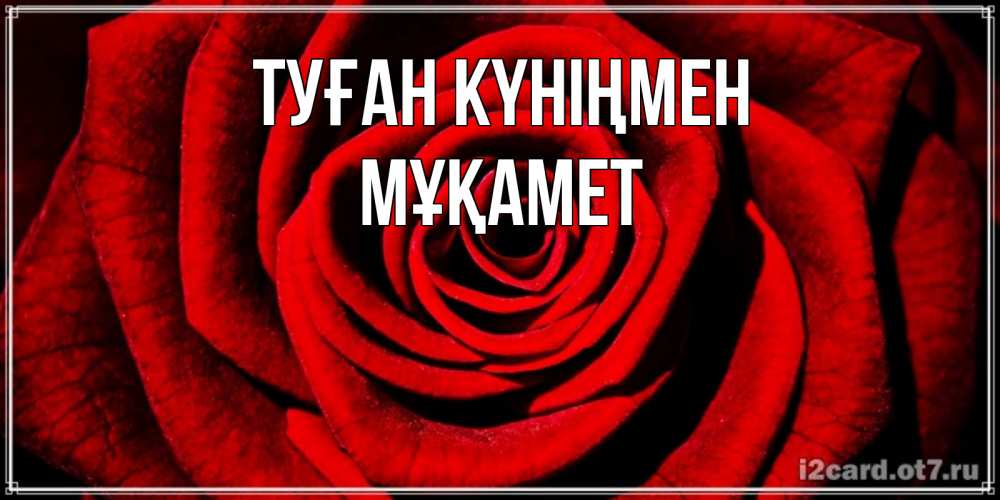 Күн сайын ашық хат с именем, МҰҚАМЕТ Туған күніңмен алая роза Онлайн тегін жүктеп алу тілектері бар керемет карта 