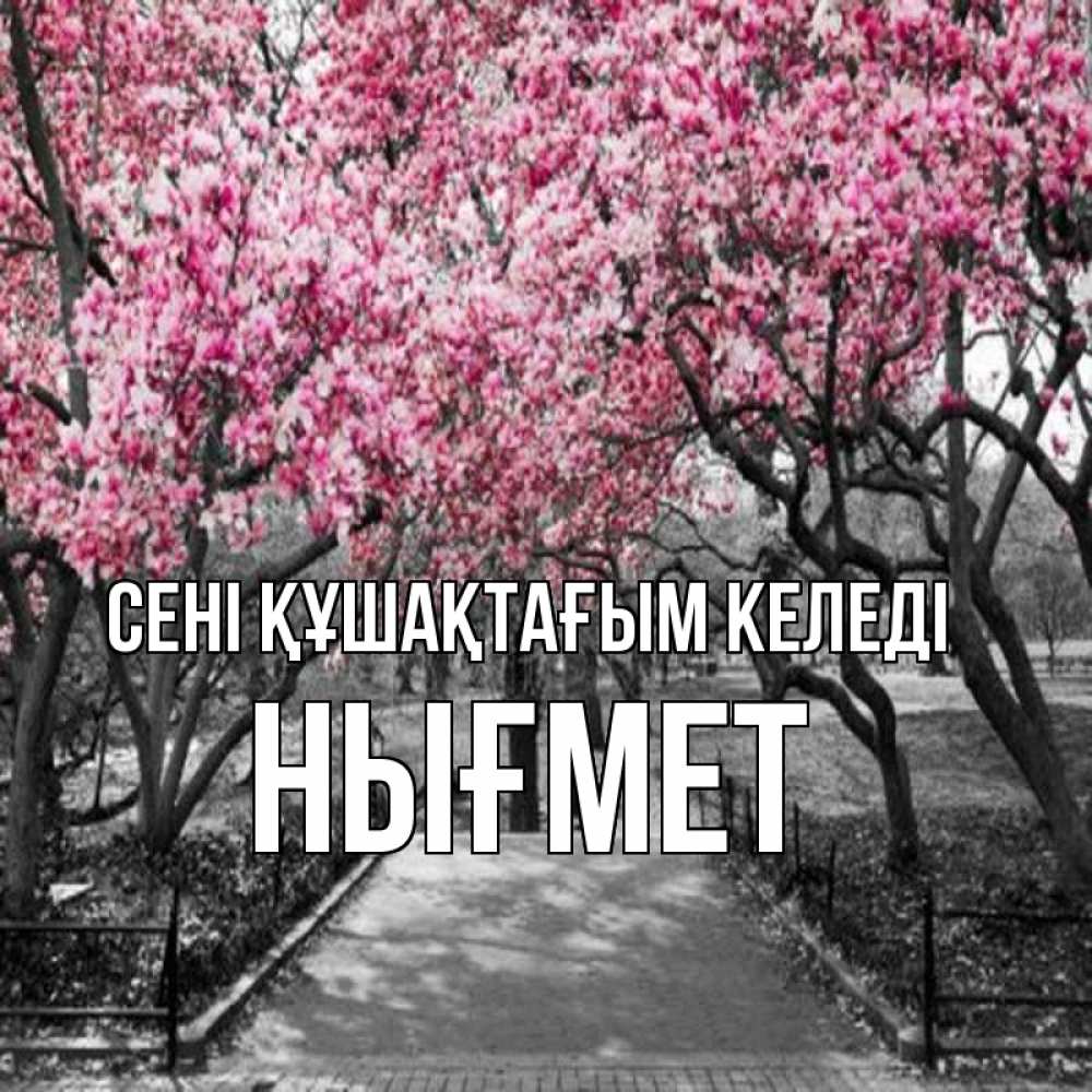 Күн сайын ашық хат с именем, НЫҒМЕТ сені құшақтағым келеді обработанное фото Онлайн тегін жүктеп алу тілектері бар керемет карта 