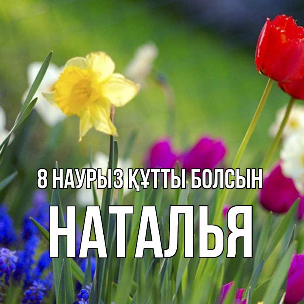 Күн сайын ашық хат с именем, Наталья 8 наурыз құтты болсын международный женский день 3 Онлайн тегін жүктеп алу тілектері бар керемет карта 