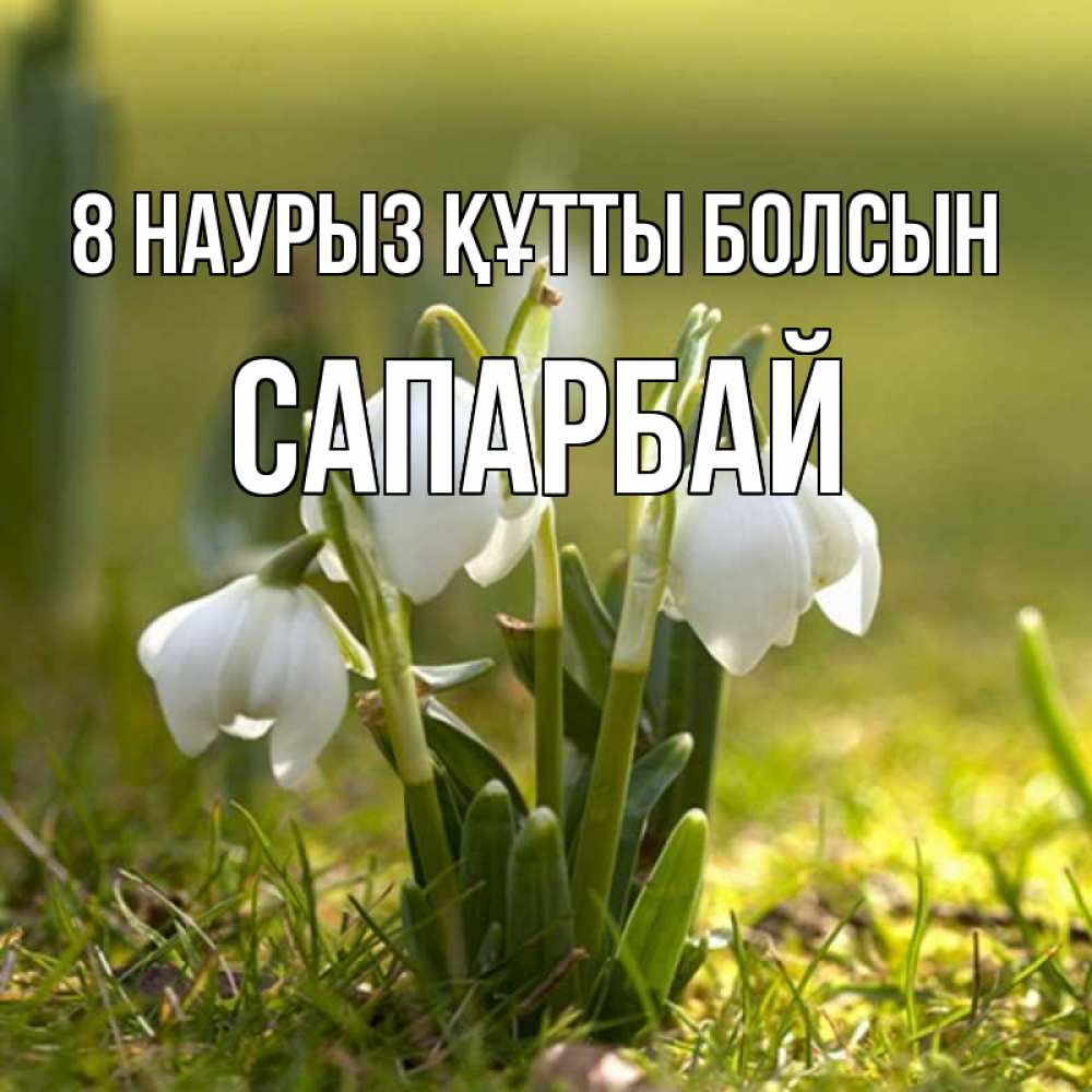 Күн сайын ашық хат с именем, САПАРБАЙ 8 наурыз құтты болсын ранние цветы 2 Онлайн тегін жүктеп алу тілектері бар керемет карта 