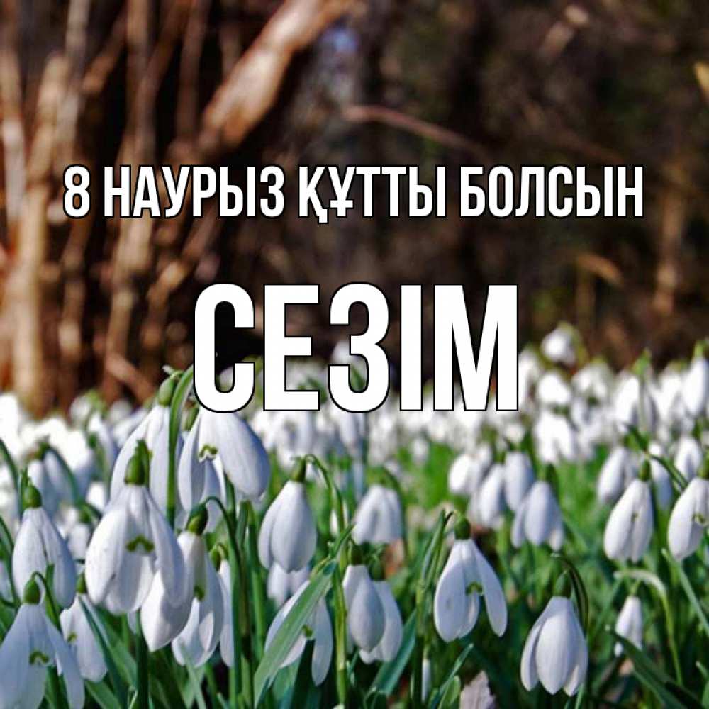 Күн сайын ашық хат с именем, СЕЗІМ 8 наурыз құтты болсын с подснежниками 1 Онлайн тегін жүктеп алу тілектері бар керемет карта 