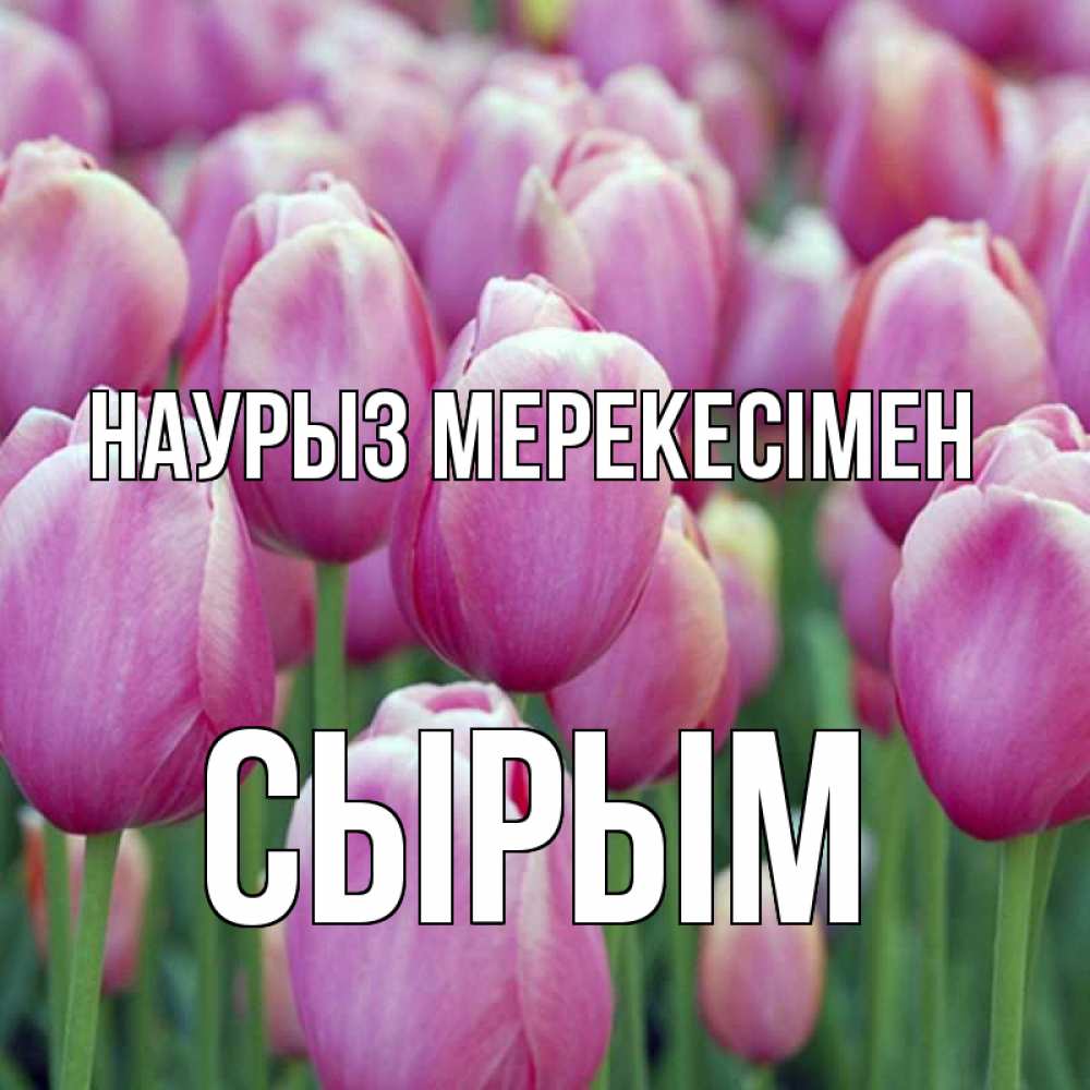 Күн сайын ашық хат с именем, СЫРЫМ Наурыз мерекесімен праздник весны наурыз 69 Онлайн тегін жүктеп алу тілектері бар керемет карта 