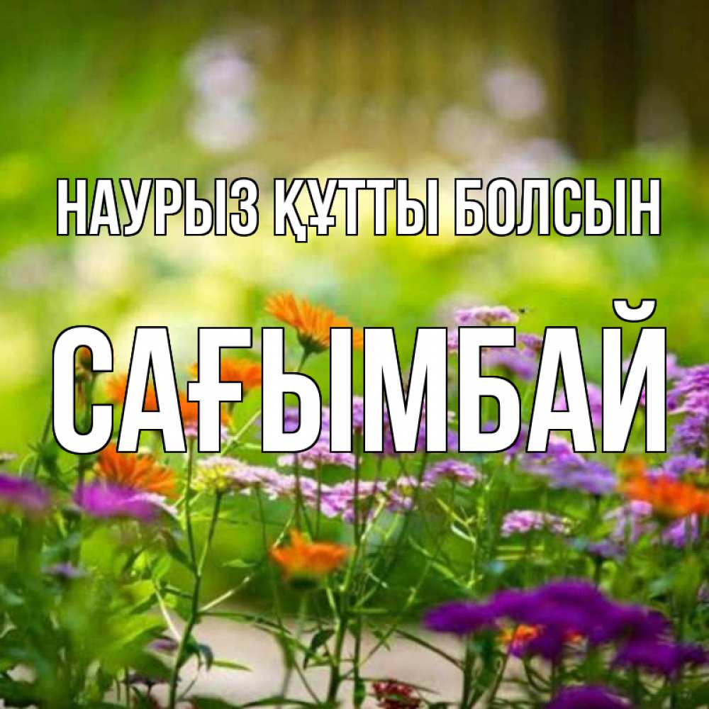 Күн сайын ашық хат с именем, Сағымбай Наурыз құтты болсын цветы Онлайн тегін жүктеп алу тілектері бар керемет карта 