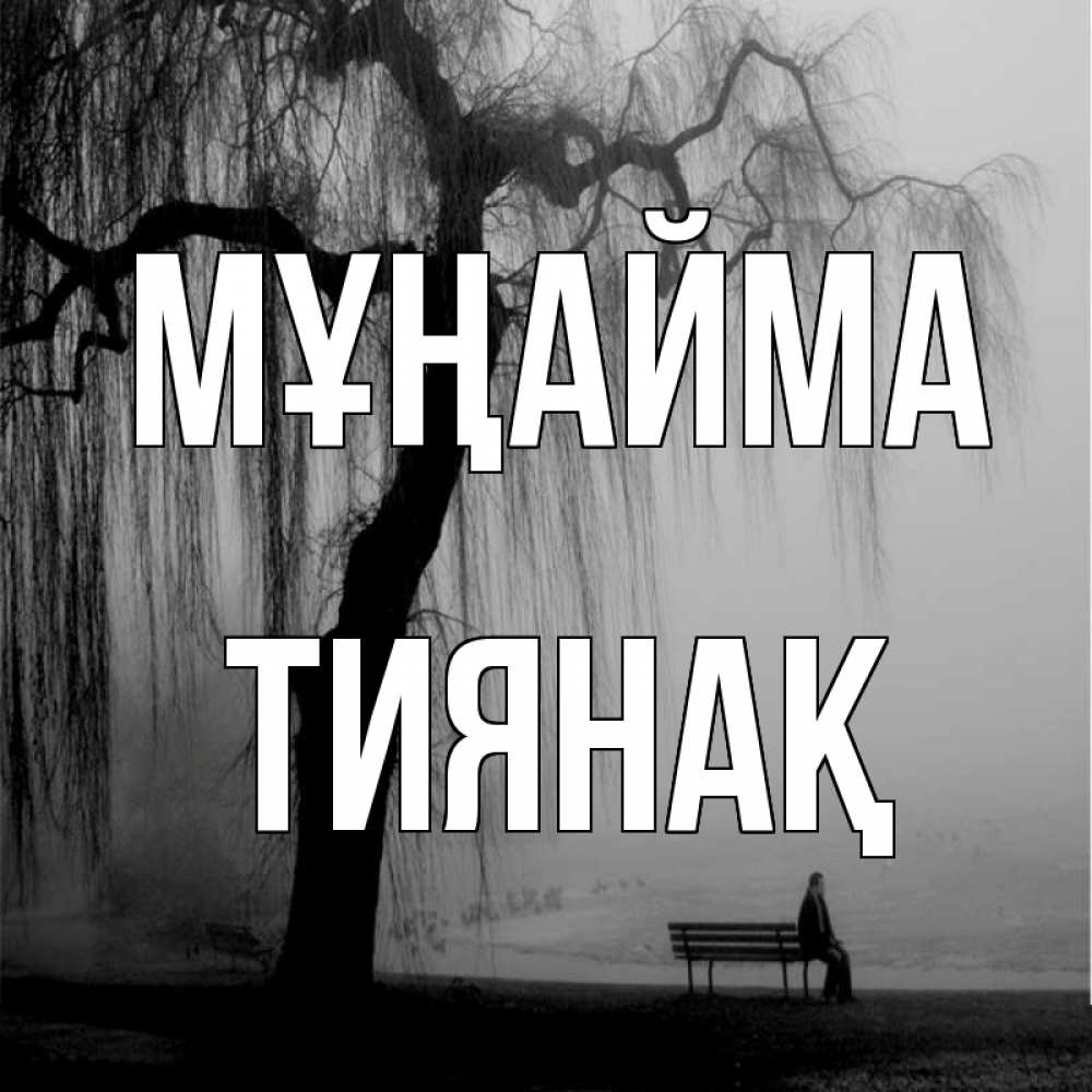 Күн сайын ашық хат с именем, ТИЯНАҚ Мұңайма висящие ветки дерева и лавочка под деревом Онлайн тегін жүктеп алу тілектері бар керемет карта 