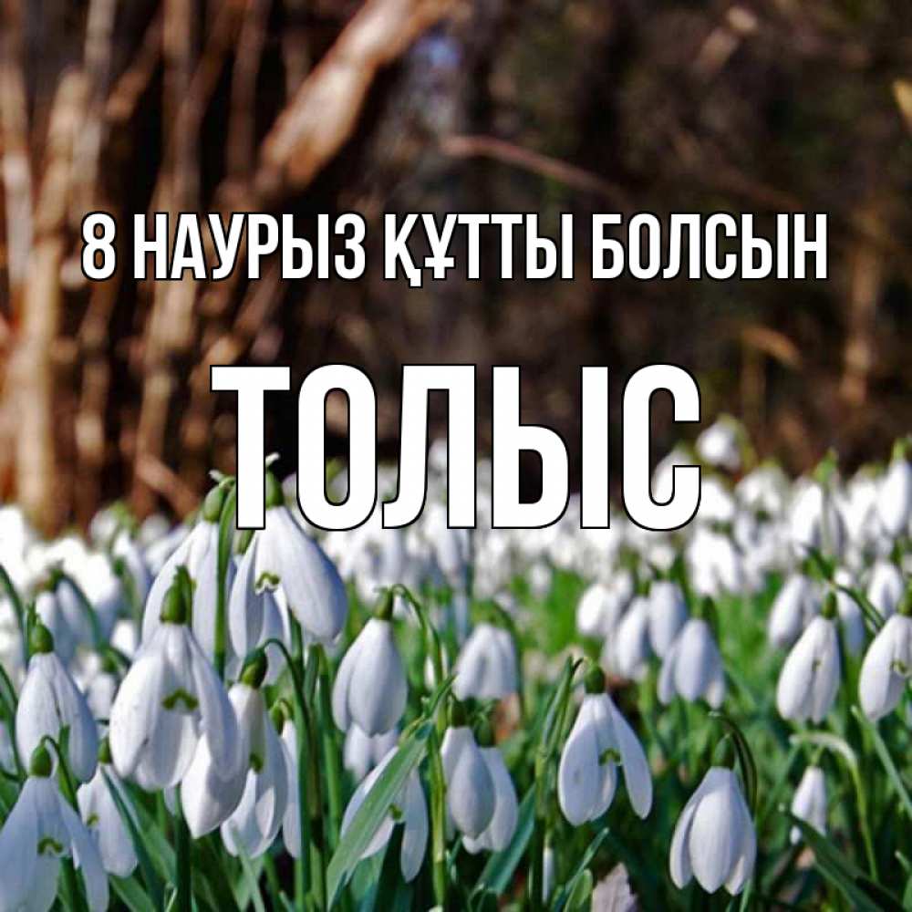 Күн сайын ашық хат с именем, ТОЛЫС 8 наурыз құтты болсын с подснежниками 1 Онлайн тегін жүктеп алу тілектері бар керемет карта 