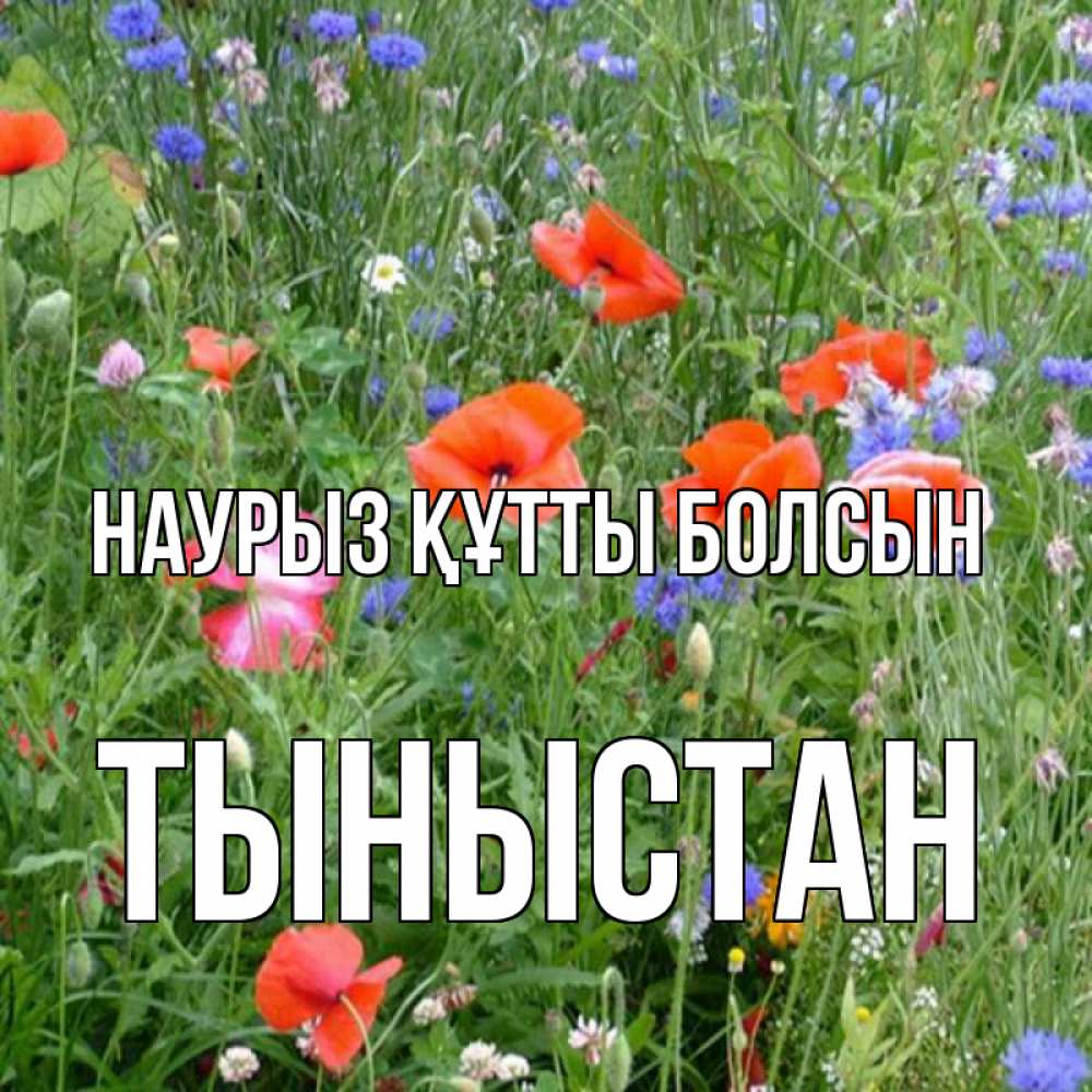 Күн сайын ашық хат с именем, ТЫНЫСТАН Наурыз құтты болсын наурыз  4 Онлайн тегін жүктеп алу тілектері бар керемет карта 