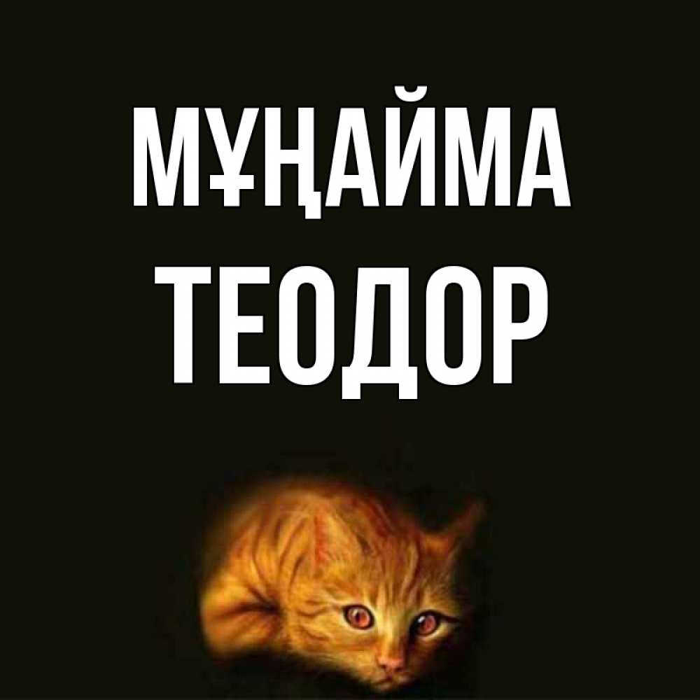 Күн сайын ашық хат с именем, Теодор Мұңайма лежащий кот в темноте Онлайн тегін жүктеп алу тілектері бар керемет карта 