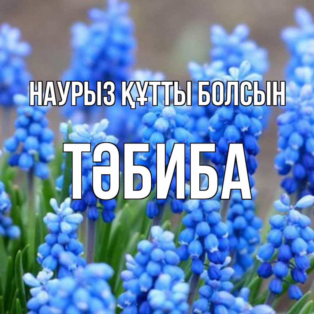 Күн сайын ашық хат с именем, ТӘБИБА Наурыз құтты болсын Поздравительная открытка для женщин с цветами на праздничную дату Онлайн тегін жүктеп алу тілектері бар керемет карта 