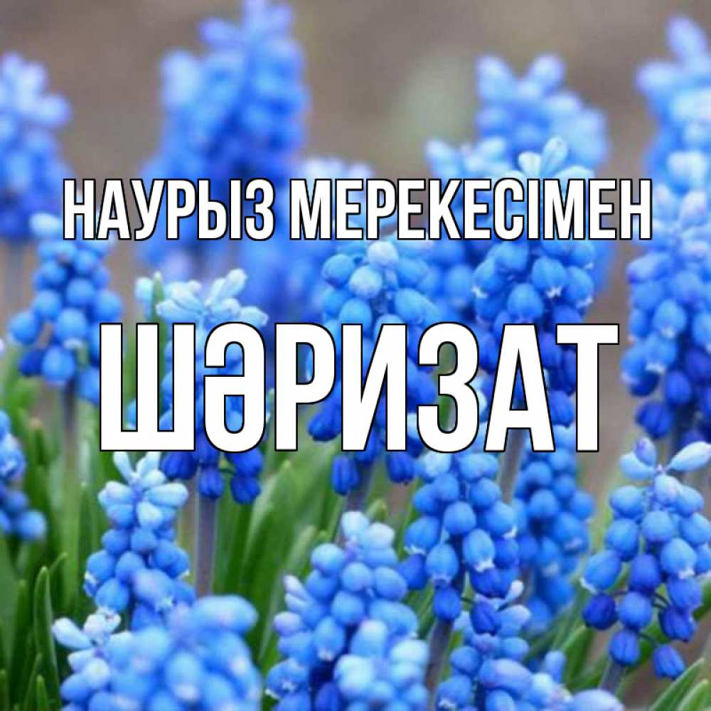 Күн сайын ашық хат с именем, ШӘРИЗАТ Наурыз мерекесімен Поздравительная открытка для женщин с цветами на праздничную дату Онлайн тегін жүктеп алу тілектері бар керемет карта 