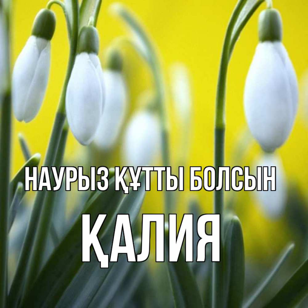 Күн сайын ашық хат с именем, ҚАЛИЯ Наурыз құтты болсын весенние цветы Онлайн тегін жүктеп алу тілектері бар керемет карта 