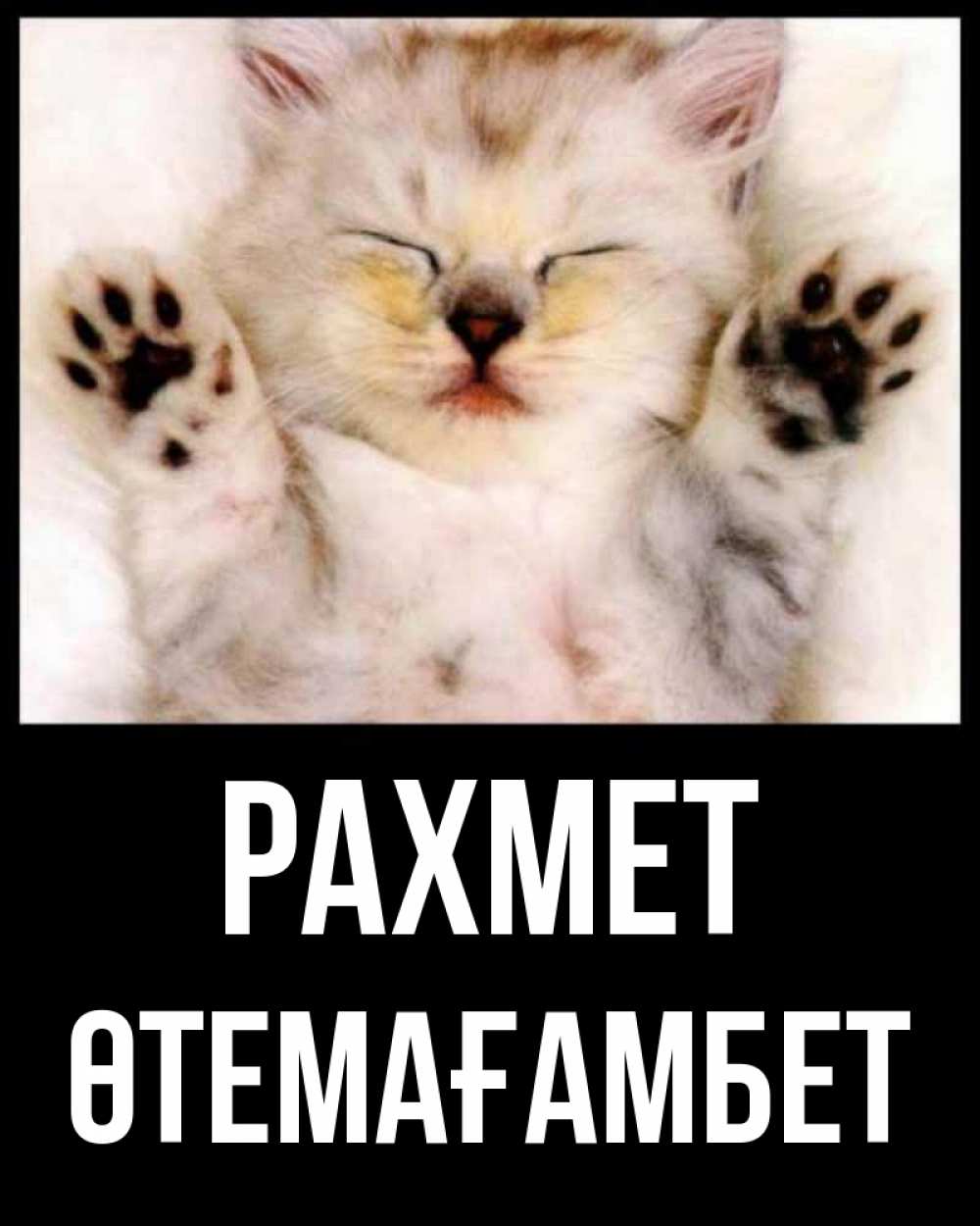 Күн сайын ашық хат с именем, ӨТЕМАҒАМБЕТ рахмет маленький котенок Онлайн тегін жүктеп алу тілектері бар керемет карта 
