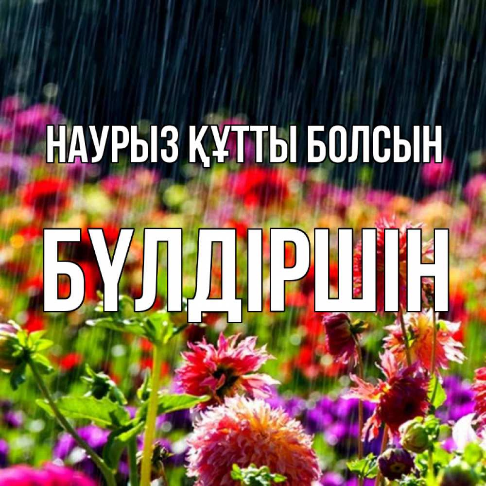 Күн сайын ашық хат с именем, БҮЛДІРШІН Наурыз құтты болсын цветы под дождиком к наурызу Онлайн тегін жүктеп алу тілектері бар керемет карта 