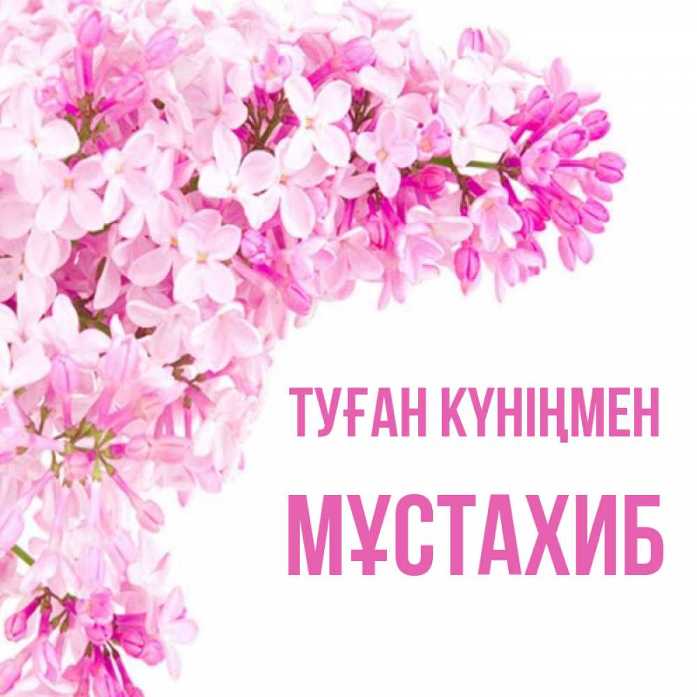 Күн сайын ашық хат с именем, МҰСТАХИБ Туған күніңмен Сирень на белом фоне Онлайн тегін жүктеп алу тілектері бар керемет карта 