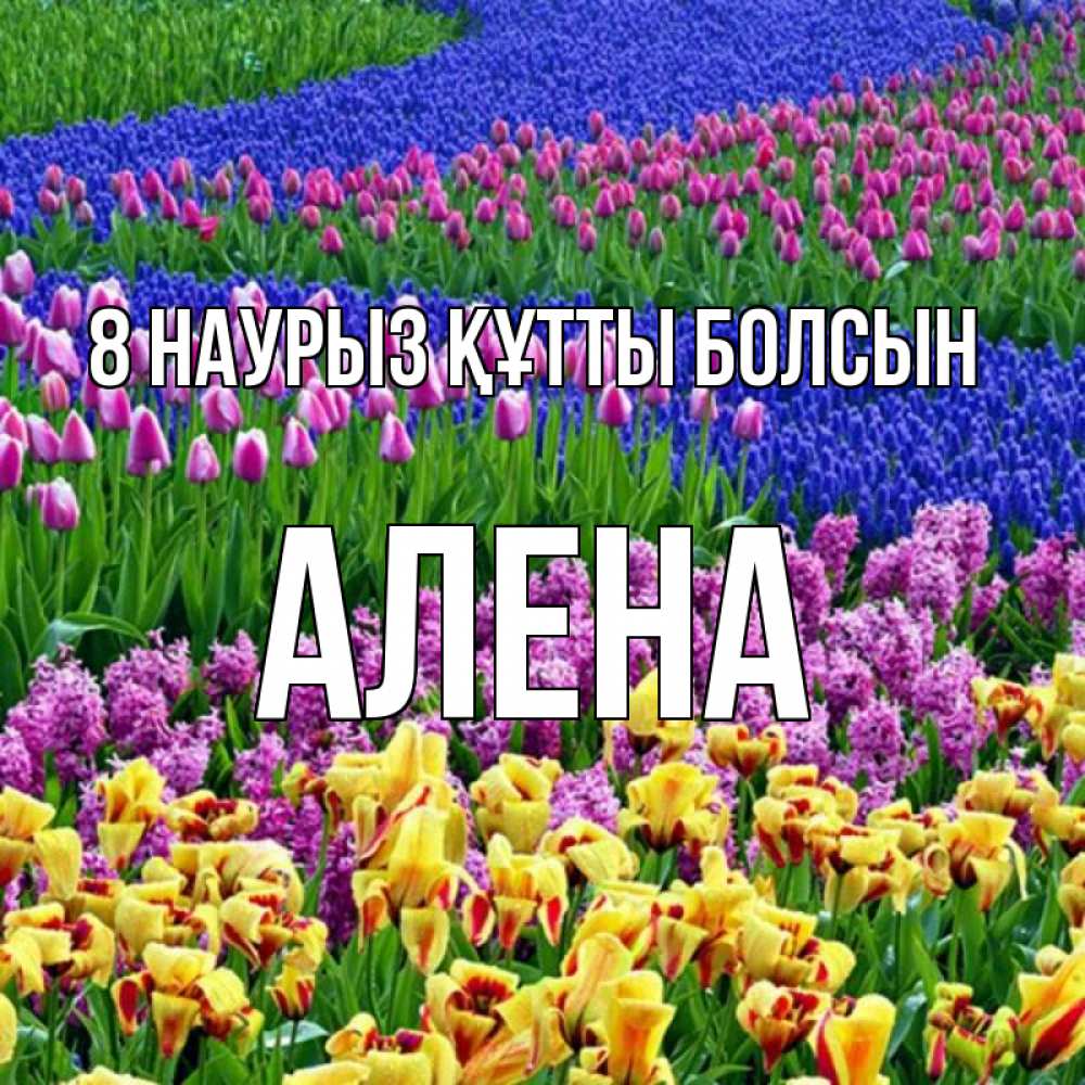 Күн сайын ашық хат с именем, Алена 8 наурыз құтты болсын цветы Онлайн тегін жүктеп алу тілектері бар керемет карта 
