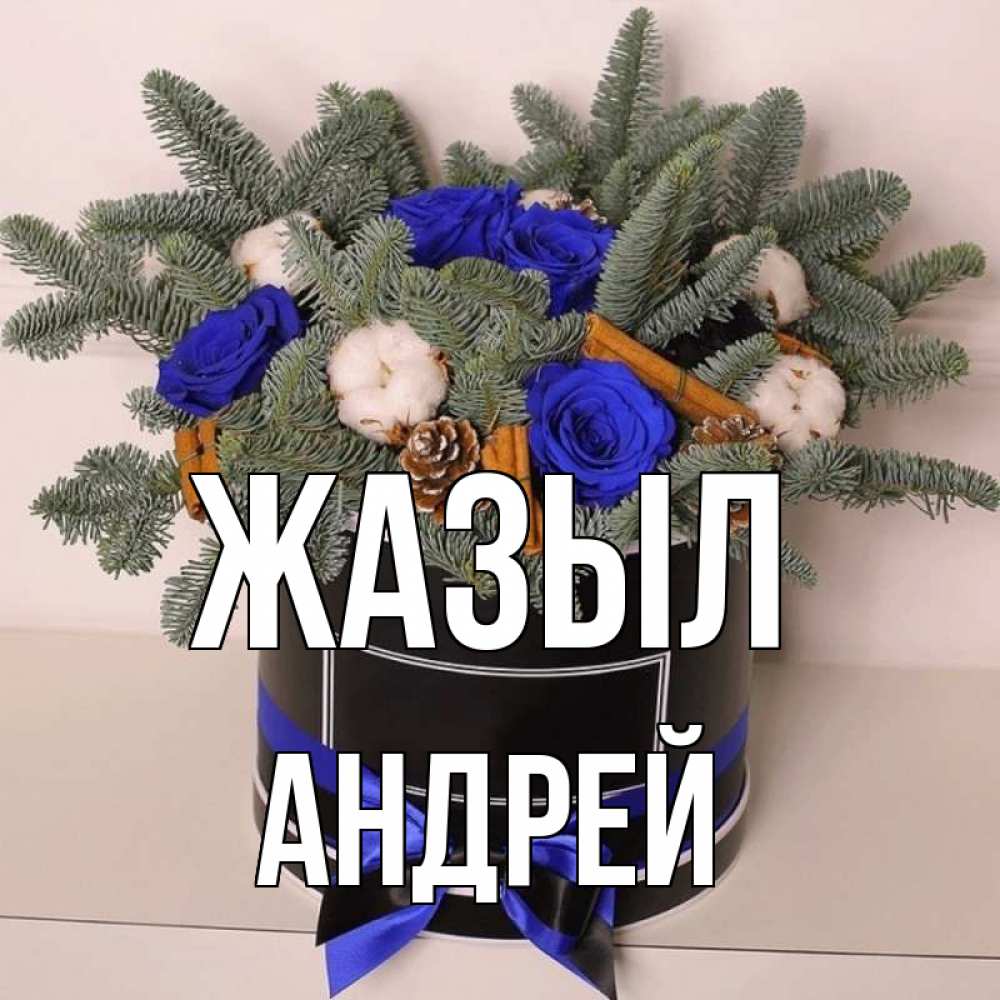 Күн сайын ашық хат с именем, Андрей Жазыл короче кто то загрузил эти шишки Онлайн тегін жүктеп алу тілектері бар керемет карта 