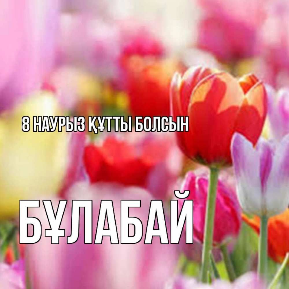 Күн сайын ашық хат с именем, Бұлабай 8 наурыз құтты болсын на международный женский день 2 Онлайн тегін жүктеп алу тілектері бар керемет карта 
