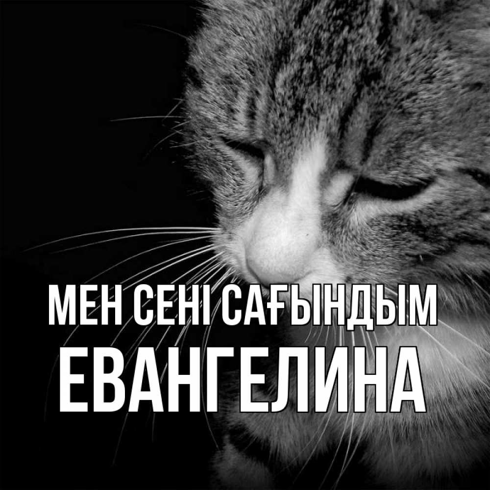 Күн сайын ашық хат с именем, Евангелина Мен сені сағындым мне скучно Онлайн тегін жүктеп алу тілектері бар керемет карта 